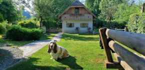 Vila Jana Radovljica